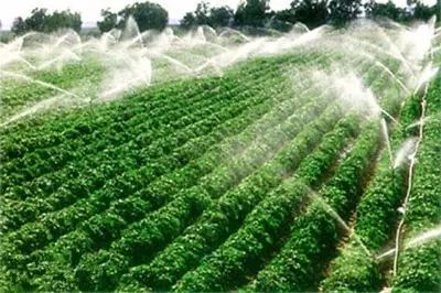 619dcf236c1f4529822632f24d876c40.png 619dcf236c1f4529822632f24d876c40.png