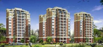 С�ߌ��Ƕ��ι�ˮ�᣿�����x����ι�ˮ�O�䣿